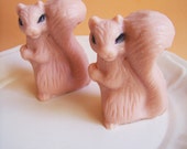 Squirrel Soap Set - Animal Soap, Fall Soap, Acorn, Woodland Soap, Peanuts, Soap Gift, Novelty Soap, Kids Bath, Children Soap, Soap Favors