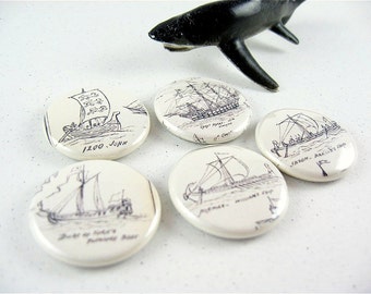 5 Nautical Sailing Boat Ships Fridge Magnets Shark Home & Living, Organization, Kitchen magnabilities no. 2 1152