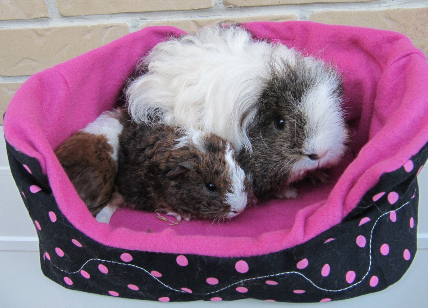 Guinea Pig Plush Igloo AND Cavy Couch PATTERN make by EmmasBears