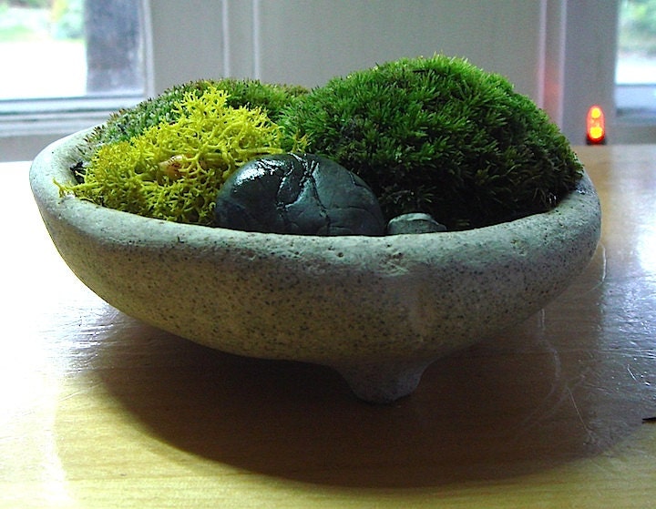 Zen Concrete Handmade Mini Moss Bowl Planter / Home Decor