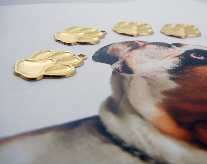 6 Brass Animal Paw Charms