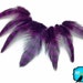 Chicken Feathers, 12 Pieces - PURPLE Grizzly Hen Loose Craft Feather : %