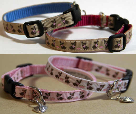 Chihuahua / Teacup Dog Collars choice of colours & collar