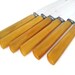 Set of 6 Vintage Bakelite Handle Steak Knives