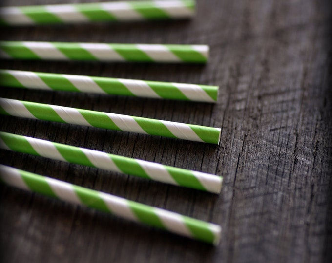 Tangy Lime- Paper Straws- Set of 12