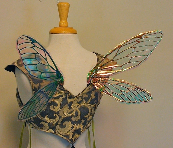 Small Clear Iridescent Fairy Wings Cicada Wings READY TO