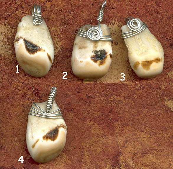 LAST One... Elk Ivory Tooth Pendant.... Genuine Elk Teeth