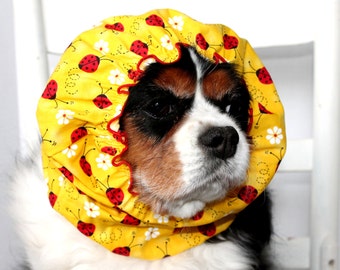 Ladybugs and Daisies Dog Snood / Stay-Put 3 Rows Elastic Thread / Yellow Summer Dog Snood