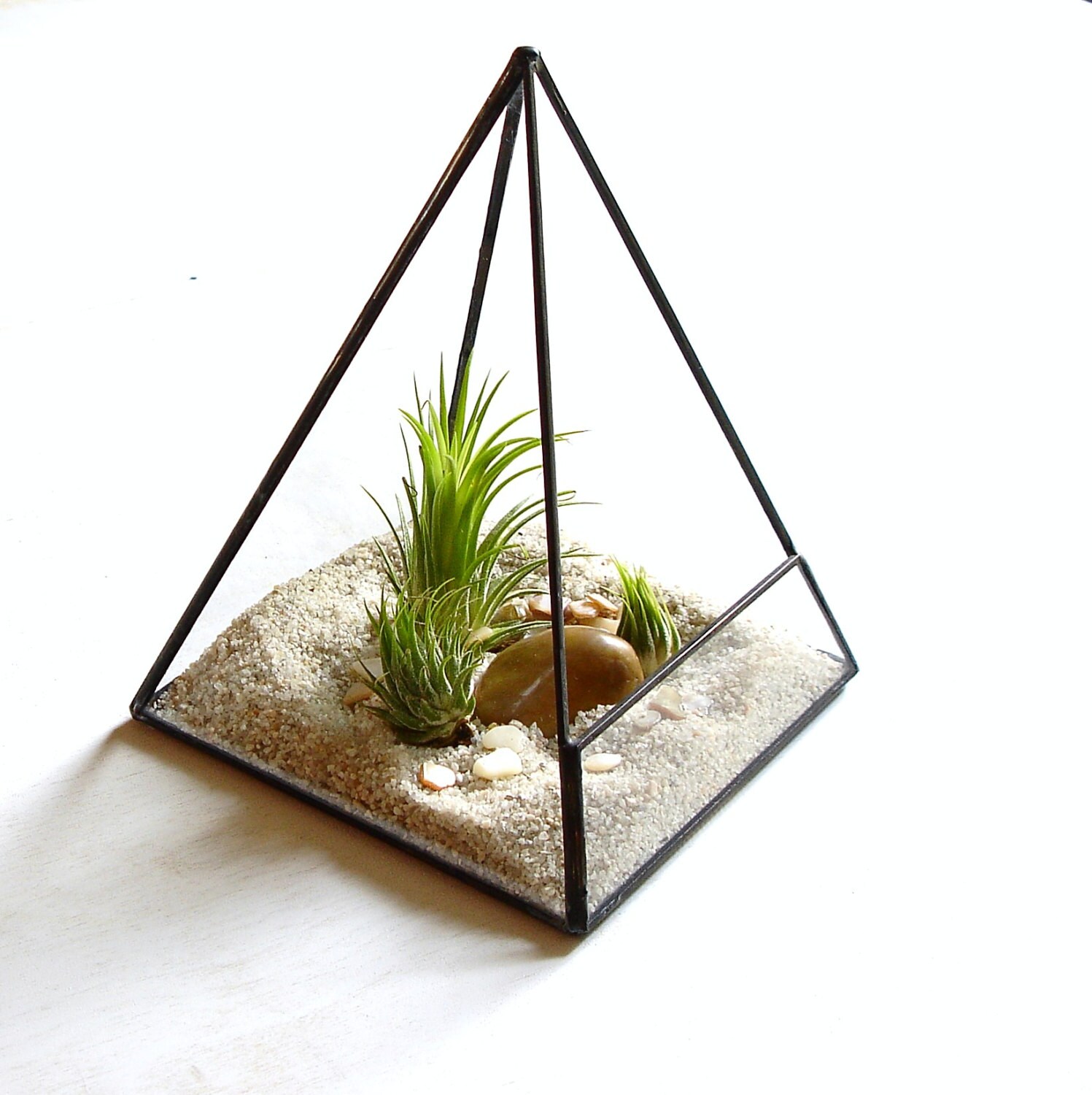 Terrarium Glass Pyramid Planter with Air Plant DIY Kit Desk