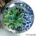 Lampwork Glass Cabochon Frit Glass Implosion Large Focal Bead CL49 SRA