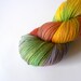 Handpainted Fingering Weight Superwash Merino Nylon Sock Yarn- Merry-Go-Round 462 yards