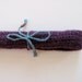 purple soprano recorder case