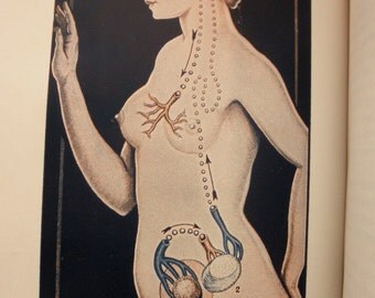 vintage book - The Illustrated Encyclopedia of Sex- 1950