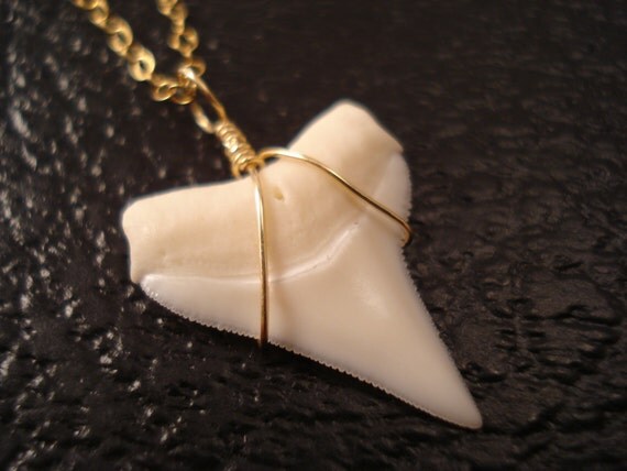 Genuine Shark Tooth Necklace, Shark Tooth Jewelry, Shark Tooth Pendant, Delicate Gold Necklace, Real Shark Tooth Necklace