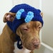 Dog Hat Large Navy Blue with Pale Blue Bow by courtanai on Etsy