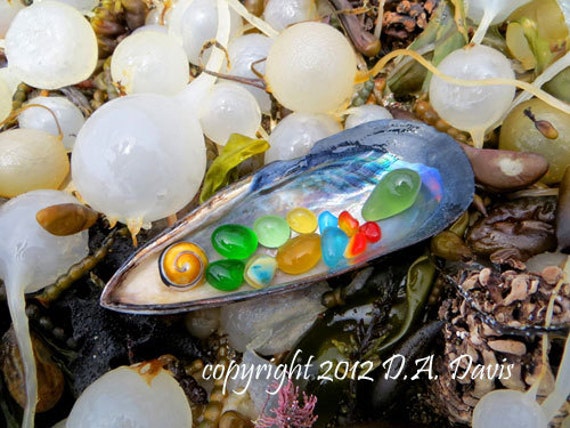 Items Similar To 11 X 14 Beach Sea Glass Art Print Photo Print S On Etsy   Il 570xN.431111111 C62m 