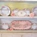 chippy shabby chic vintage farmhouse white plate shelf