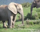 Baby elephant photo, mom and baby, baby animal photography, elephants, nursery room art, african theme art, nomadah photography