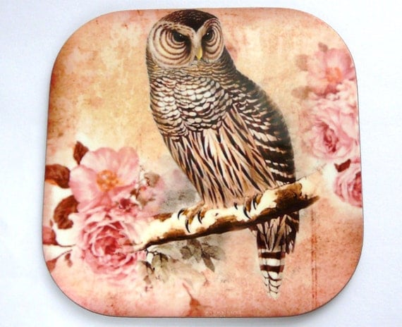 Owl Coaster Pink Flowers Shabby Chic Coaster Nature by missbohemia