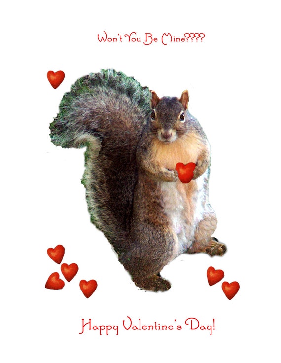 squirrel valentine stuffed animal