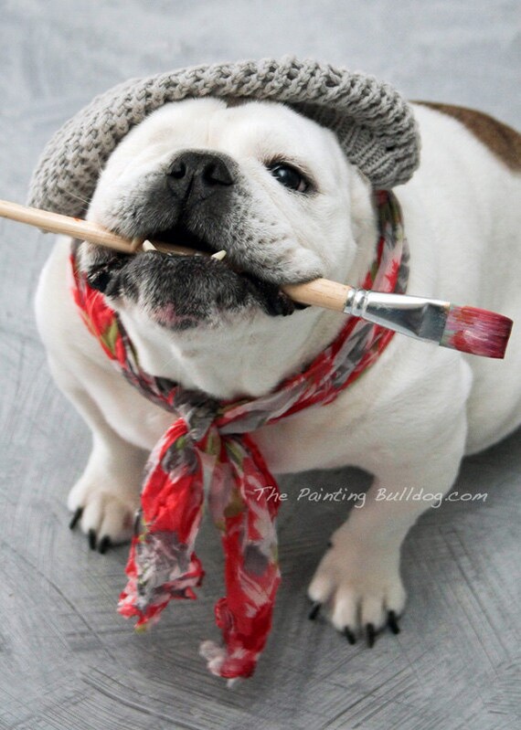 ARTISTE PIPER STONE The Painting Bulldog with a paintbrush