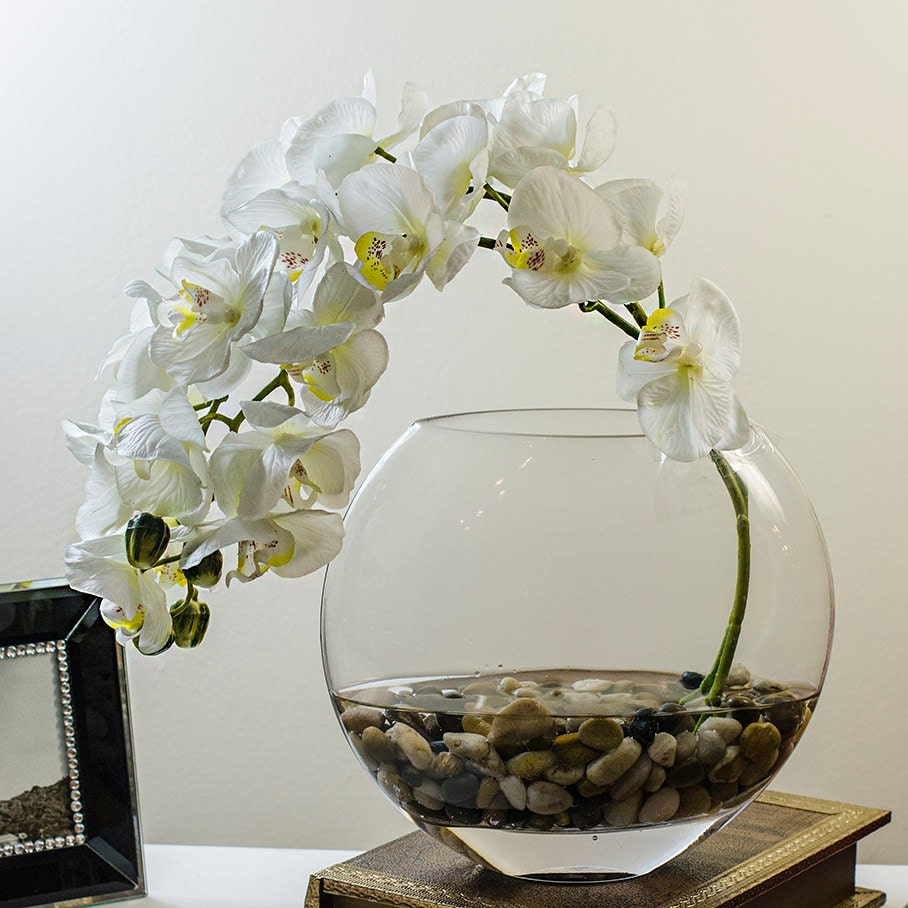 Стеклянные горшки для орхидей. Орхидея фаленопсис Silk. Композиция в круглой вазе. Композиция в стеклянной вазе. Композиция в прозрачной вазе.