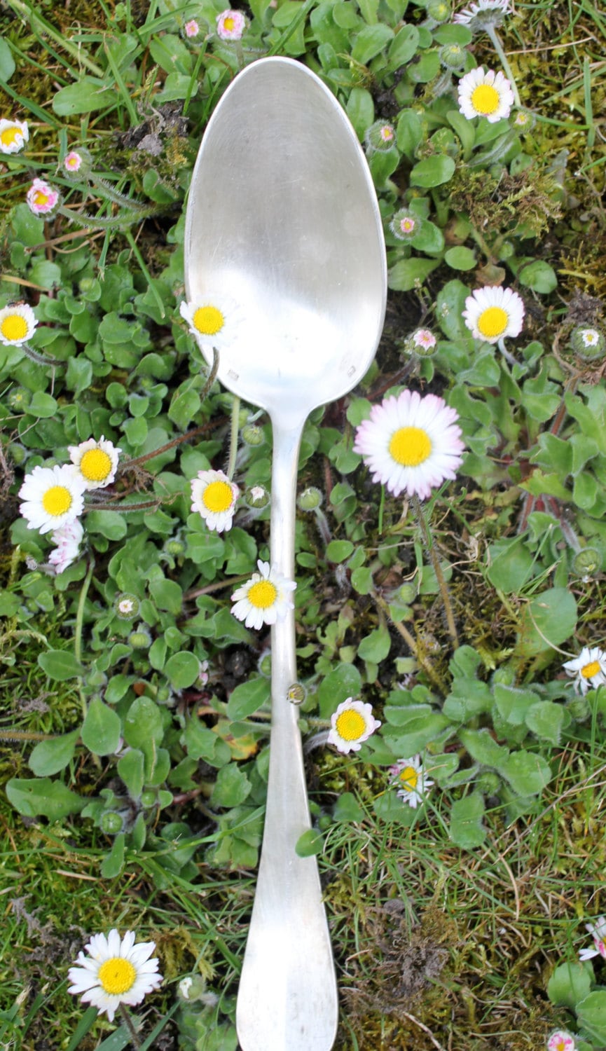 French Vintage Serving Spoon Haute Juice