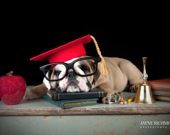Dog Graduation Cap / Graduation Hat Costume
