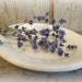 antique ironstone white dish / alfred meakin ltd / early 1900's / rustic country cottage / EPSTeam