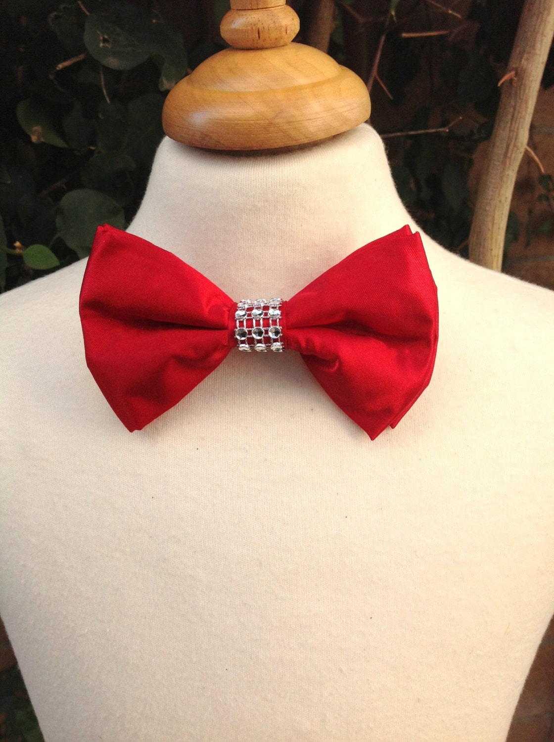 Boys bow tie Red Bow tie Embellished bow ties bow ties