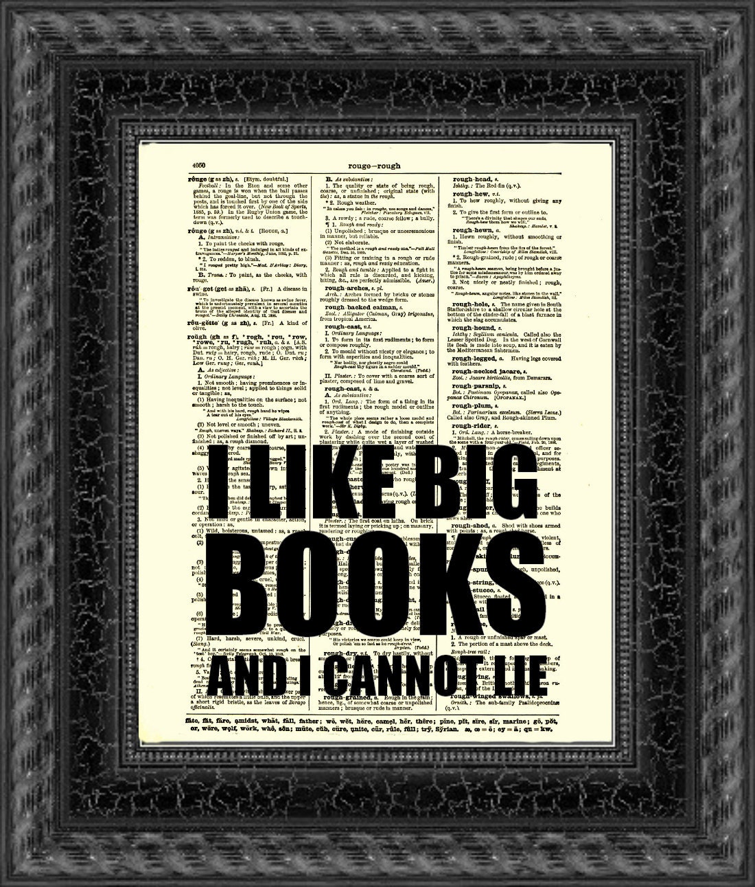 I Like Big Books and I Cannot Lie Dictionary Page Funny Text