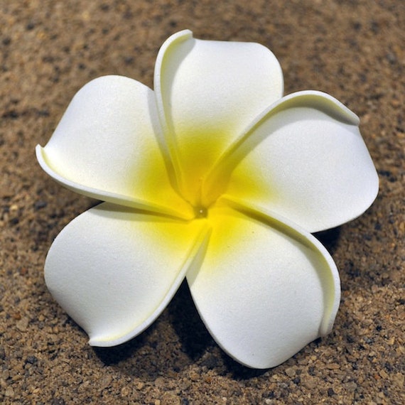 Hawaiian Foam Plumeria Flower Hair Clip 9cm 3.54 inches