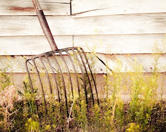 Rustic Art, pitch fork, hay fork, farm tool, still life, rustic, brown, light green, Rustic Home Decor, Fine Art Poster