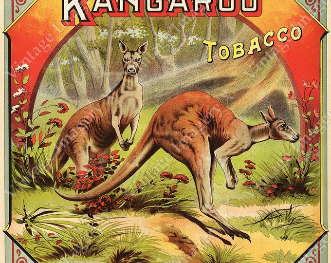 Vintage Kangaroo Australia Tobacco Crate Box Label Bar Game Room Fine Art Print Poster