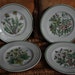 Tiffany & Co. Wild Flowers Series Porcelain Plates by Johnson Brothers