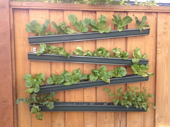 Items similar to Rain Gutter Planters (Set of 2) on Etsy