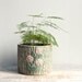 Vintage Faux Bois Pottery Planter