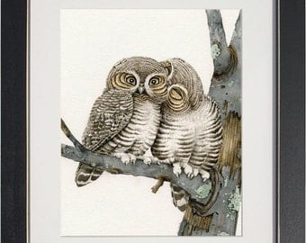Owl Smooches - archival watercolor print by Tracy Lizotte