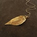 Golden Evergreen Leaf and 14kt Gold Fill Long Necklace