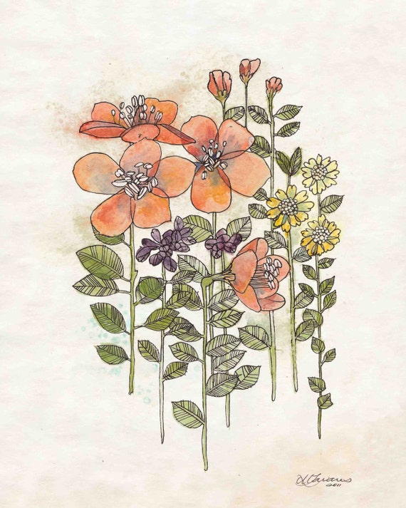 Coral Flowers Print Rustic Flower Wall Art Botanical Coral Flowers Print Rustic Flower Wall Art Botanical
