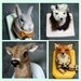 Custom Needle Felted Taxidermy