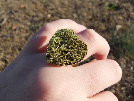 Moss Heart Ring - Natural Reindeer Moss - Rustic, Nature, Moss, Green Adjustable Ring