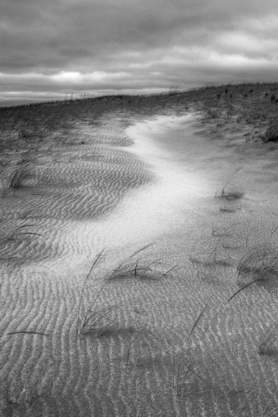 Sleeping Bear Dunes Photograph Black and White Winter Sand