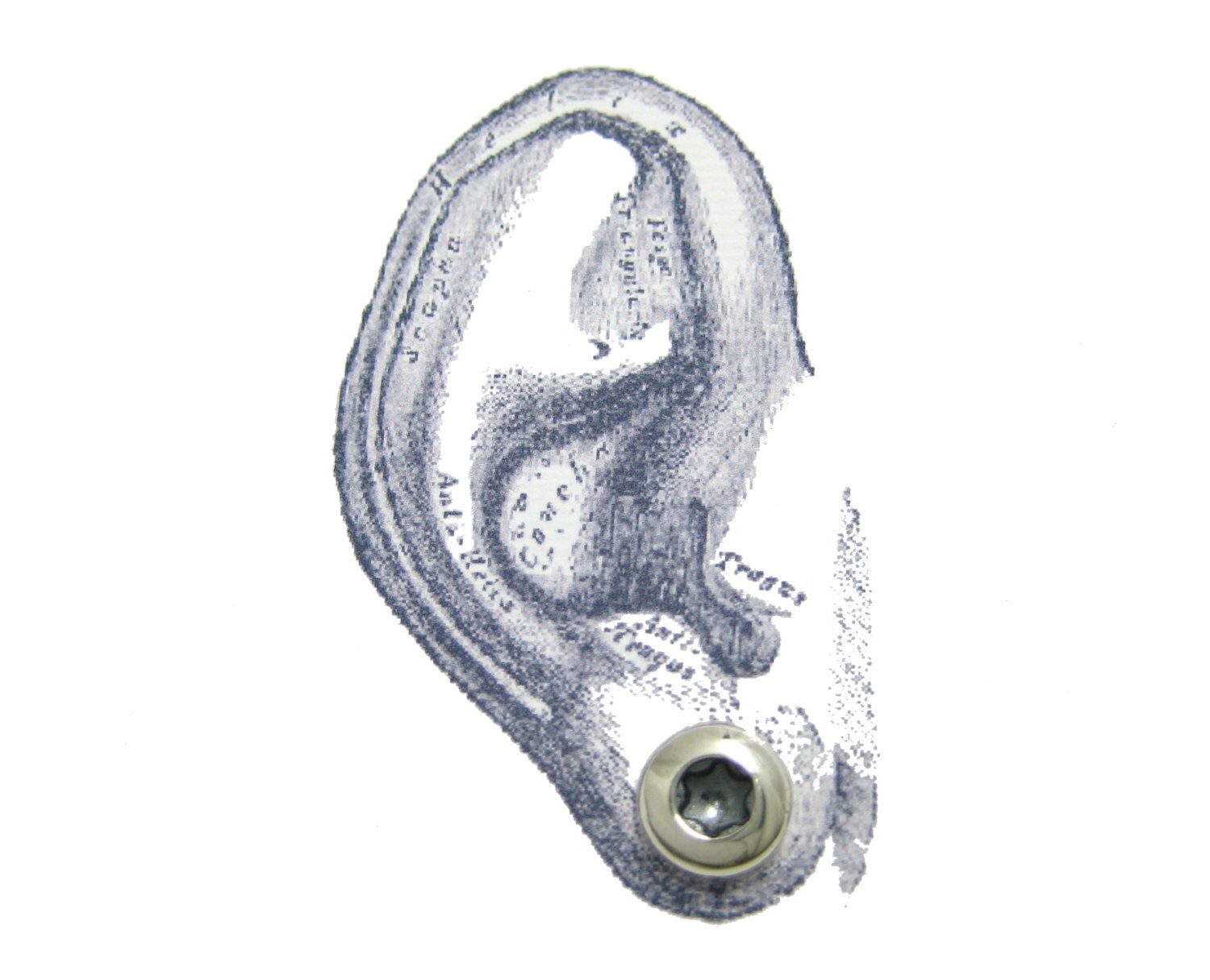 Screw Head Stud Earrings for Men and Women. Sterling Silver