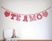 Handmade 'TE AMO' Fabric Garland Il_170x135