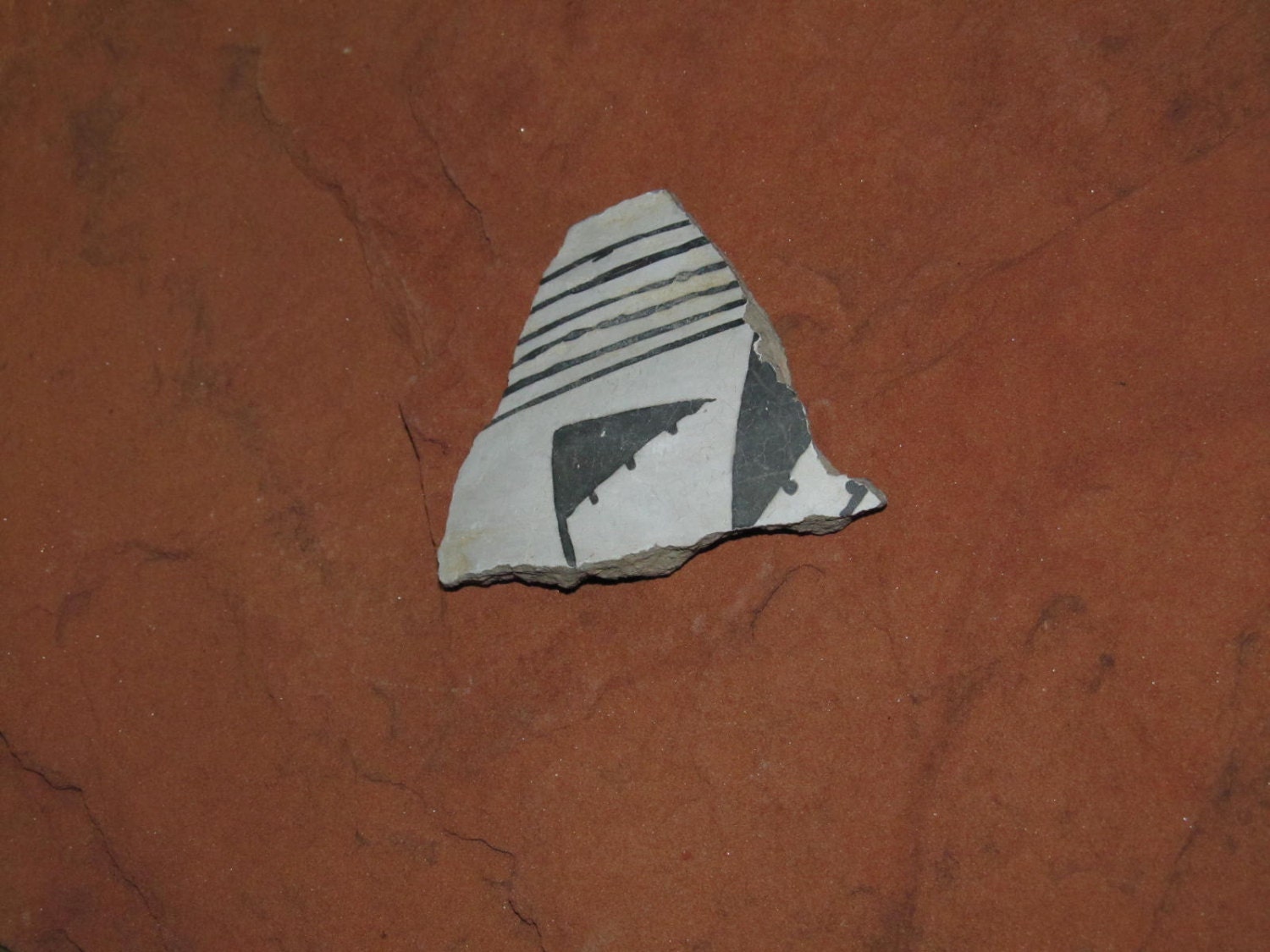 Anasazi Native American Pottery Shard W Coa Arizona Artifact