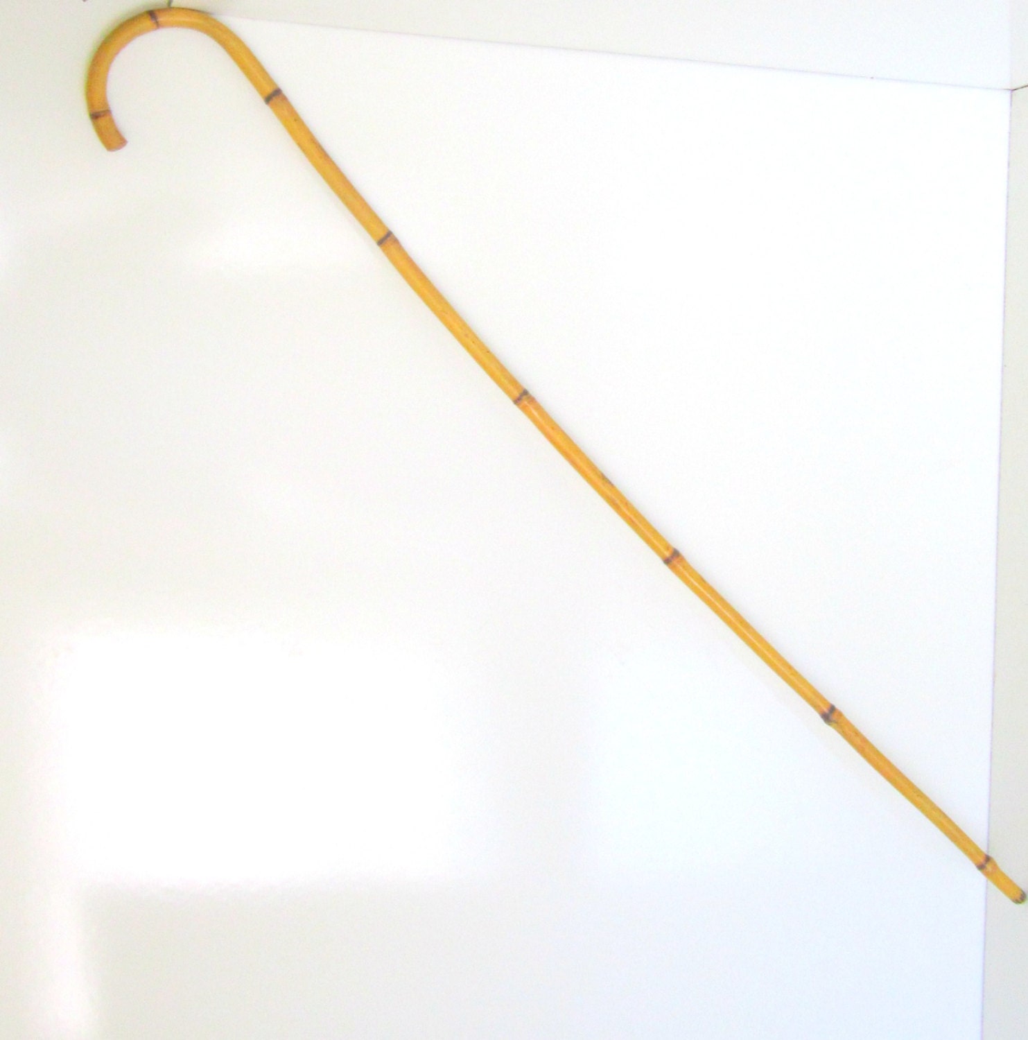 Vintage Bamboo Cane 1920s Crook Cane Bentwood Walking Stick