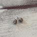 Woodland stud earrings-Pine cone earrings-Sterling silver tiny studs-Dainty earrings-Nature cast Jewelry-Gift under 40