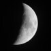 HalfMoon77