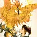 Phoenix Moon
